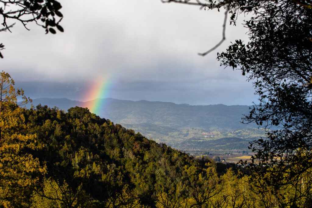 Rainbow lookin at Napa Valley, Veeder Ridge