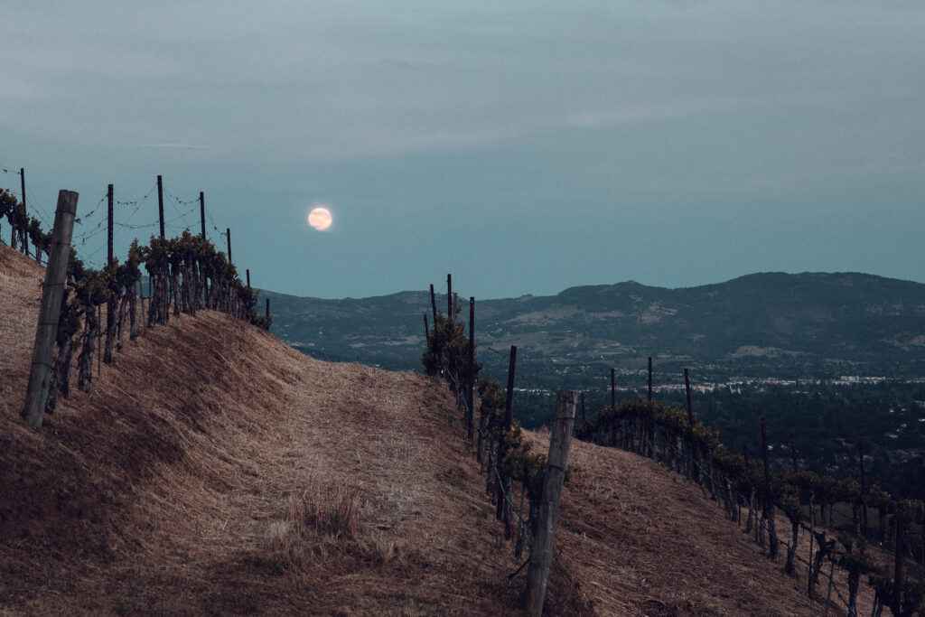Winter moonrise over Veeder Ridge