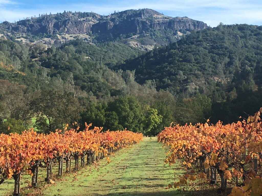 Calistoga's iconic Palisades rise over<br> Petite Sirah 