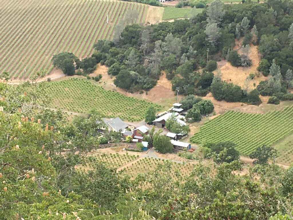 Our home nestled among the vines in Palisades Vineyard's Horns Canon.
